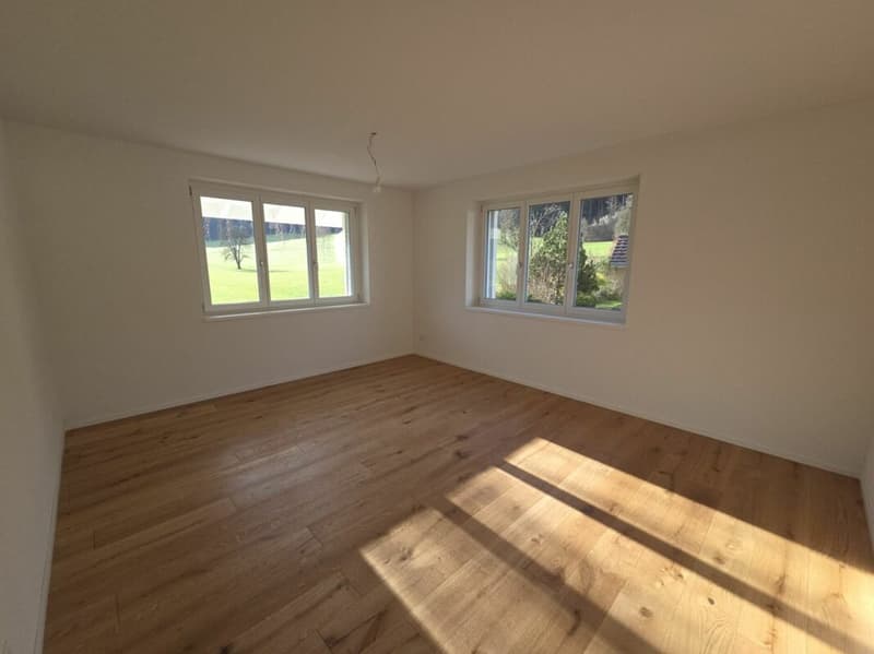 Zu verkaufen in 8362 Itaslen bei Balterswil, neues 5½ Zi.-ECK-EFH, an unverbaubarer Lage angrenzend an Landwirtschaftszone, mit Weitsicht auf Wiese und Wald ! (21)