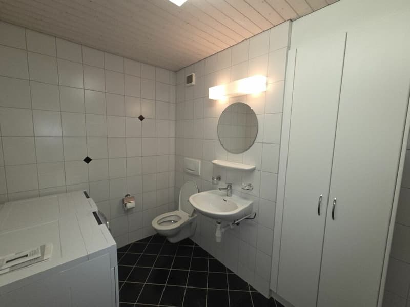 Zu verkaufen an der Haushaldenstrasse 2a in 8374 Dussnang; schöne 5½ Zi.-Dachwohnung, an ruhiger, sonniger Lage /nur 2 Gehminute bis ÖV ! (8)