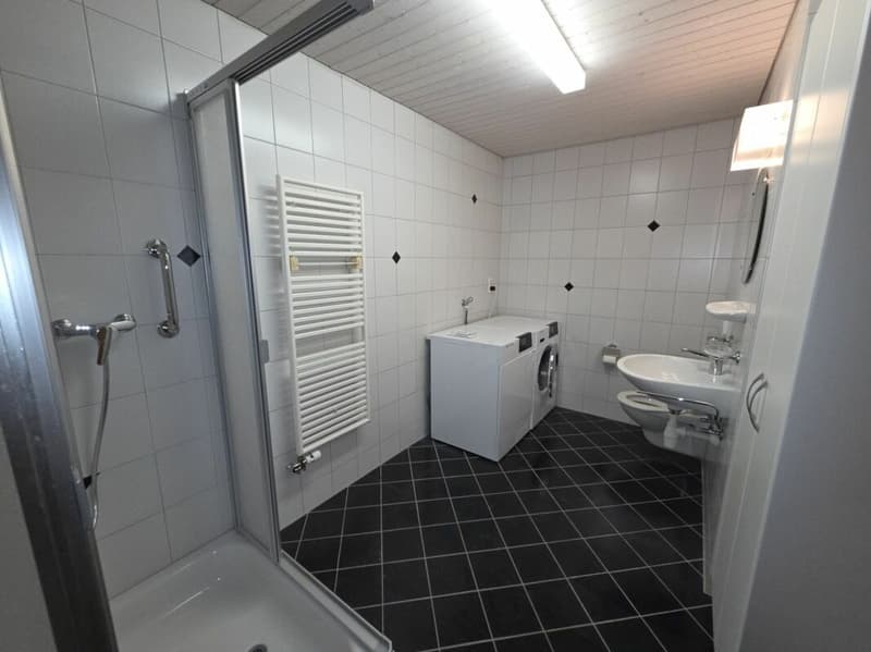 Zu verkaufen an der Haushaldenstrasse 2a in 8374 Dussnang; schöne 5½ Zi.-Dachwohnung, an ruhiger, sonniger Lage /nur 2 Gehminute bis ÖV ! (7)