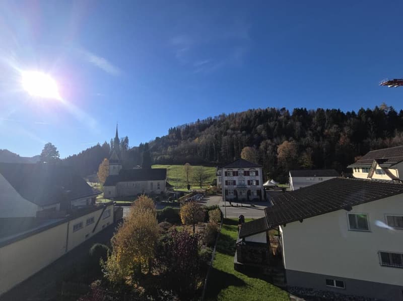 Zu verkaufen an der Haushaldenstrasse 2a in 8374 Dussnang; schöne 5½ Zi.-Dachwohnung, an ruhiger, sonniger Lage /nur 2 Gehminute bis ÖV ! (16)