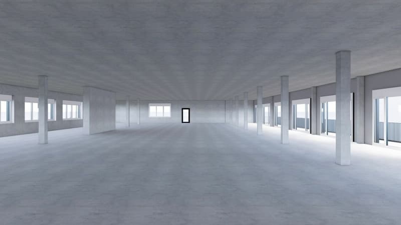Zu vermieten in Einsiedeln; Gewerbefläche ab 50m2 - 1850 m2, flexibel ausbaubar ! (2)