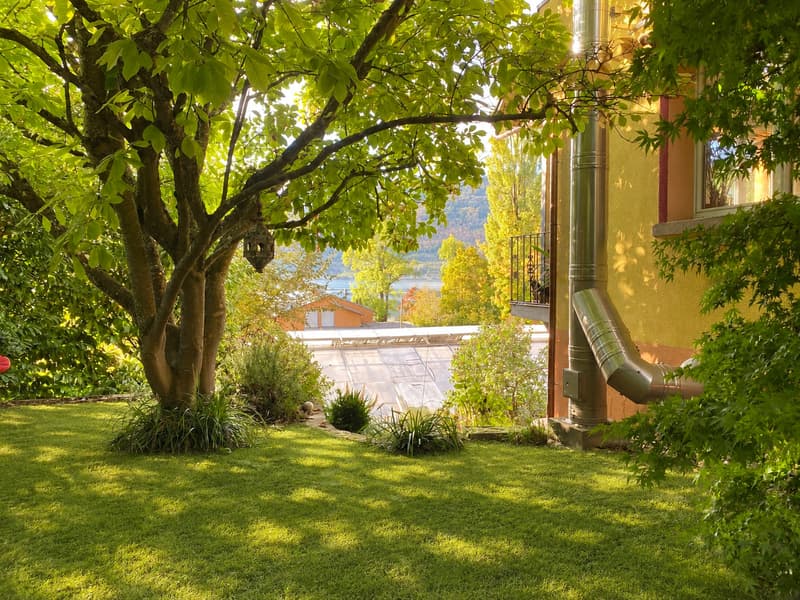 AM BIELERSEE ZUHAUSE (11)