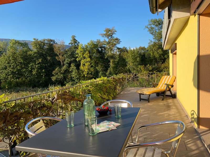 AM BIELERSEE ZUHAUSE (21)