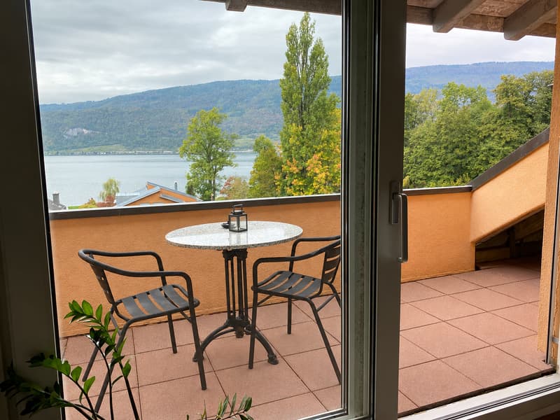 AM BIELERSEE ZUHAUSE (15)