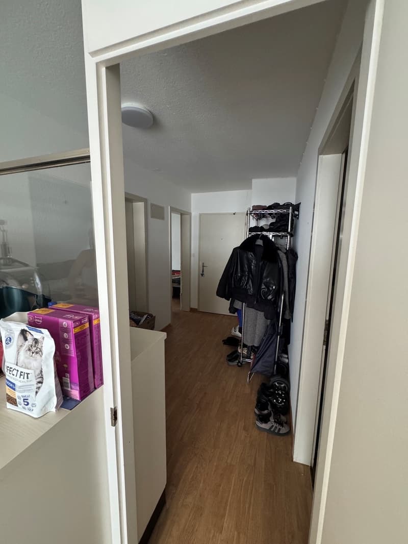 Ihr neues Zuhause im Zentrum von Wohlen (10)