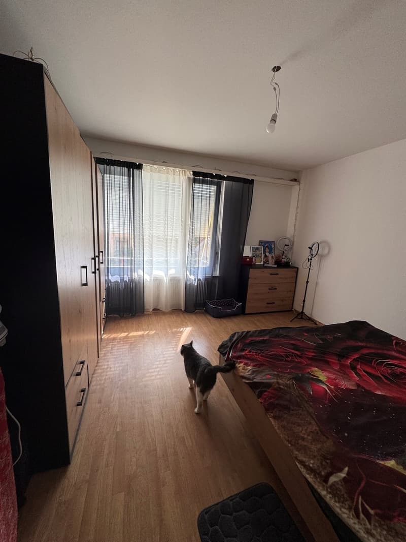 Ihr neues Zuhause im Zentrum von Wohlen (6)