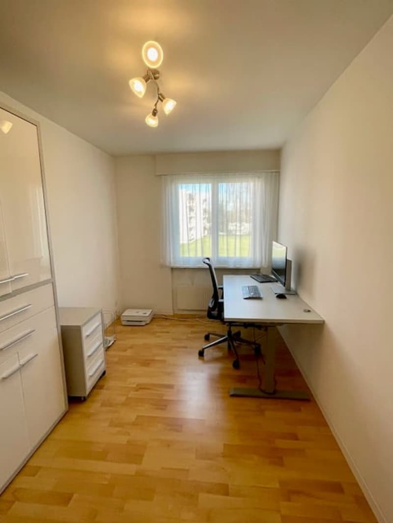 Charmante 3.5 Zimmer-Wohnung in Villmergen (5)
