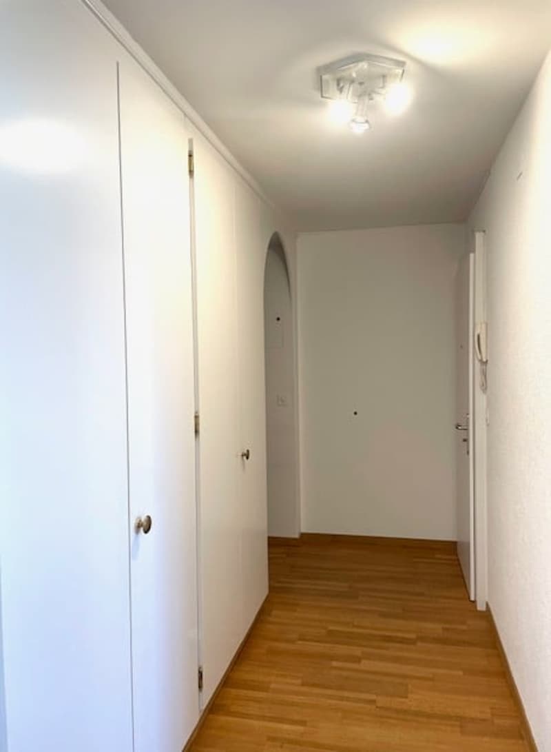 Charmante 3.5 Zimmer-Wohnung in Villmergen (6)