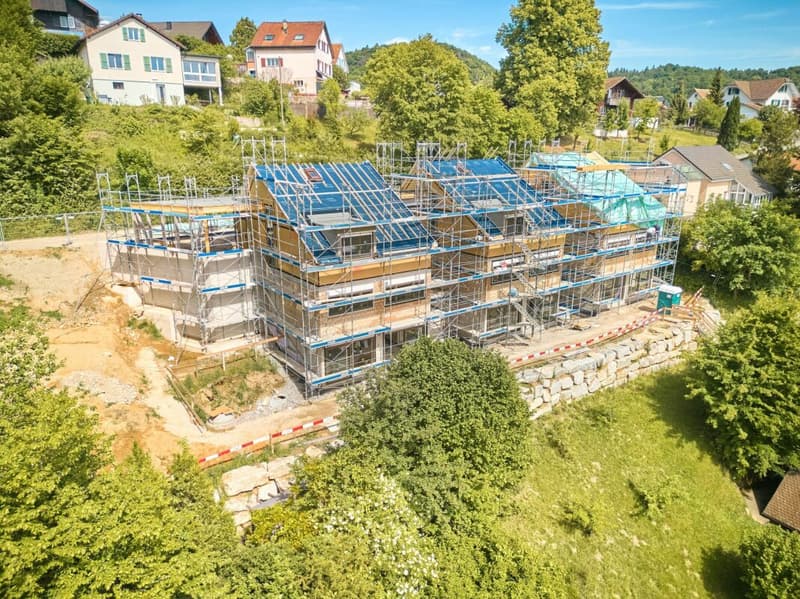 Birchweg Othmarsingen (5)