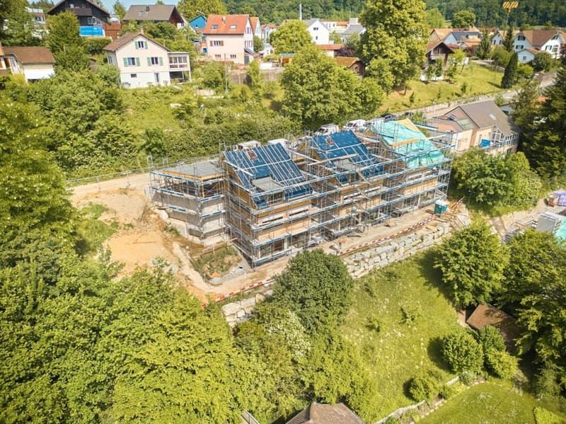 Birchweg Othmarsingen (9)