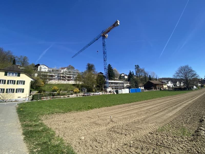 Birchweg Othmarsingen (11)