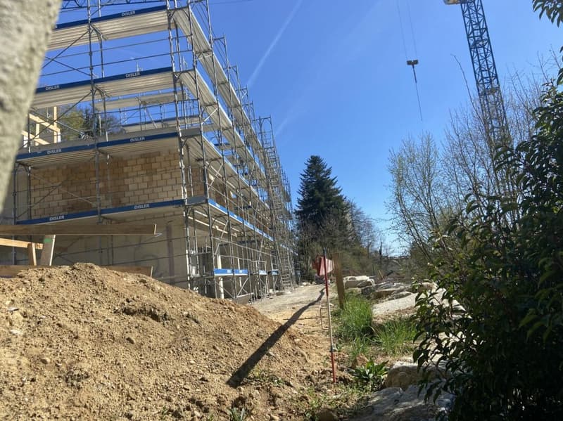 Birchweg Othmarsingen (12)