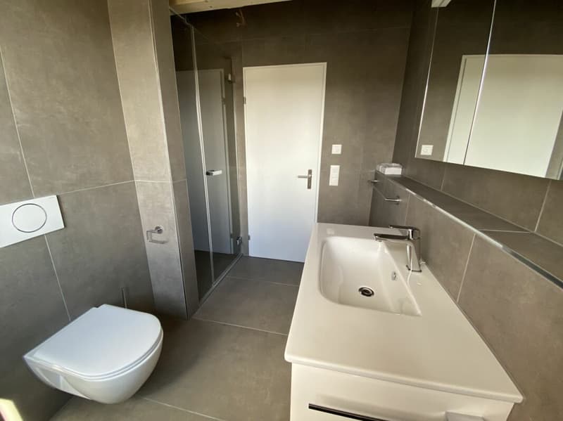 6 1/2-Zimmer-Doppeleinfamilienhaus mit nutzbarer Landfläche (9)