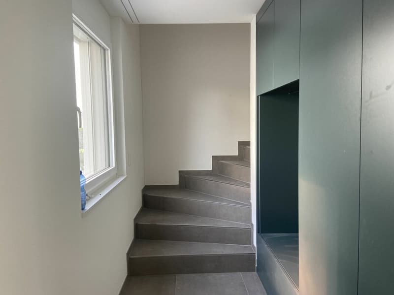 6 1/2-Zimmer-Doppeleinfamilienhaus mit nutzbarer Landfläche (7)