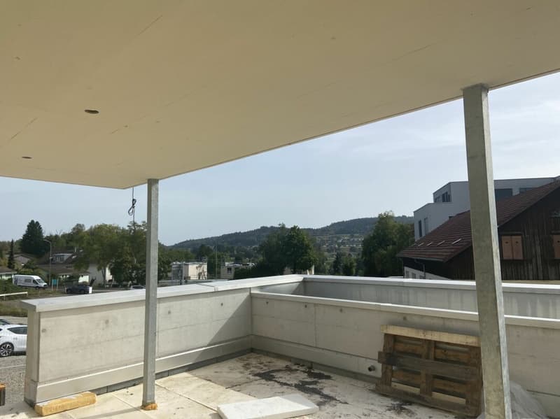 5 1/2 - Zimmer Terrassenhaus TH2 mit grosser Terrasse (3)