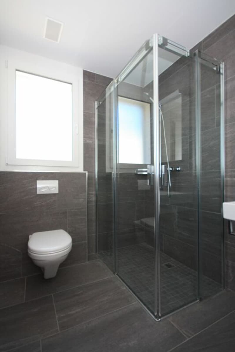 Exklusive 3 1/2 Zimmer-Wohnung (8)