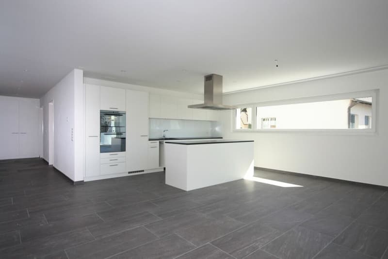 Exklusive 3 1/2 Zimmer-Wohnung (4)