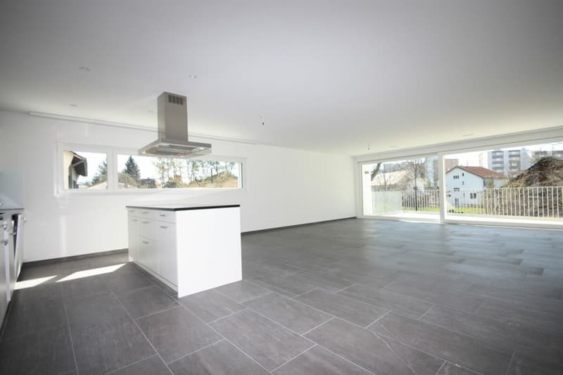 Exklusive 3 1/2 Zimmer-Wohnung (3)