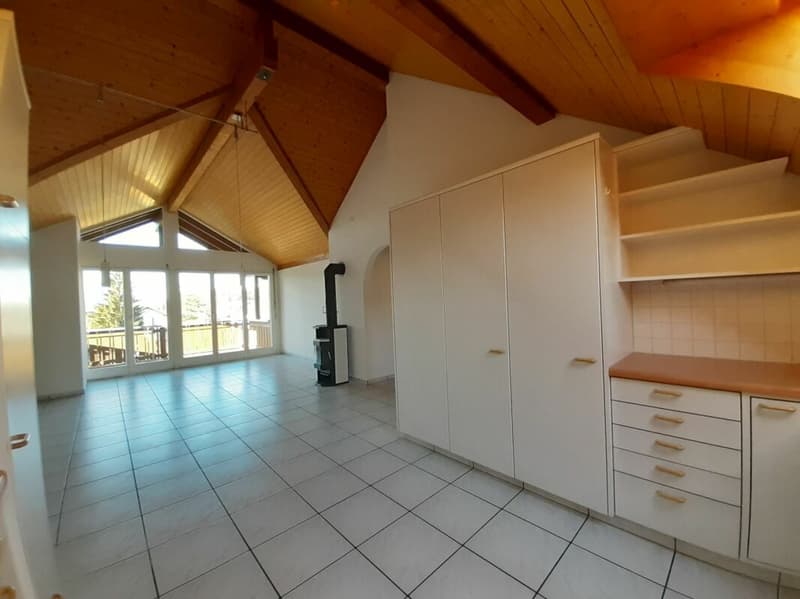 3 1/2 Zimmer-Dachwohnung (2)
