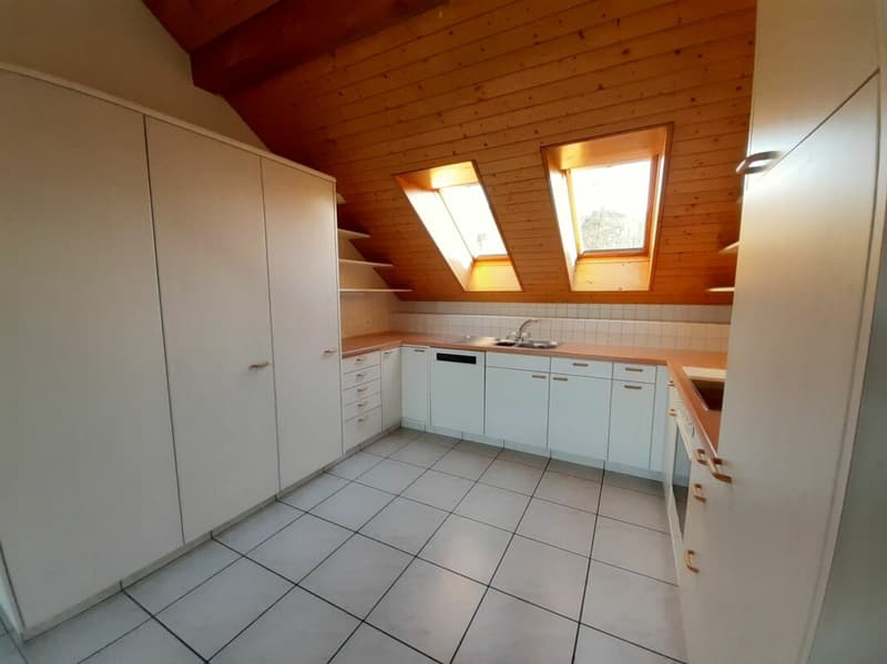 3 1/2 Zimmer-Dachwohnung (3)