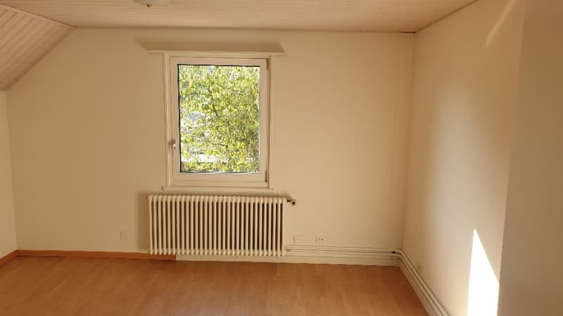 4 1/2 Zimmer-Einfamilienhaus (8)