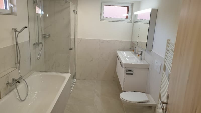 4 1/2 Zimmer-Einfamilienhaus (7)
