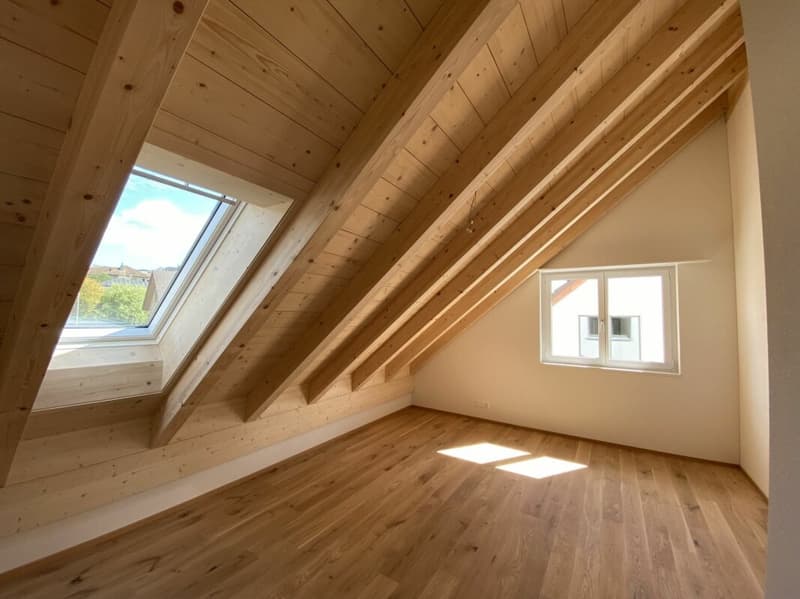 6 1/2-Zimmer-Doppeleinfamilienhaus mit nutzbarer Landfläche (10)