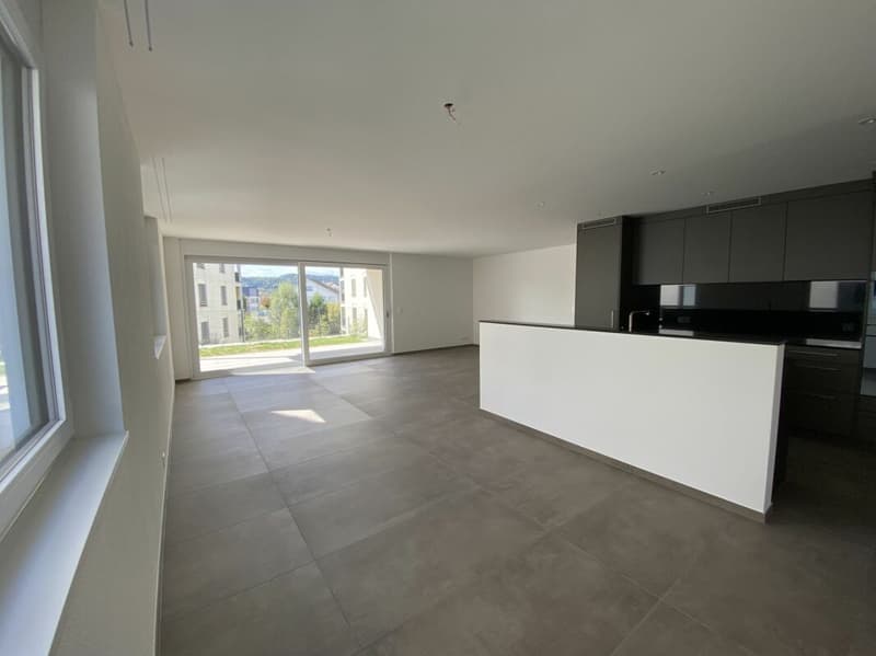 6 1/2-Zimmer-Doppeleinfamilienhaus mit nutzbarer Landfläche (3)