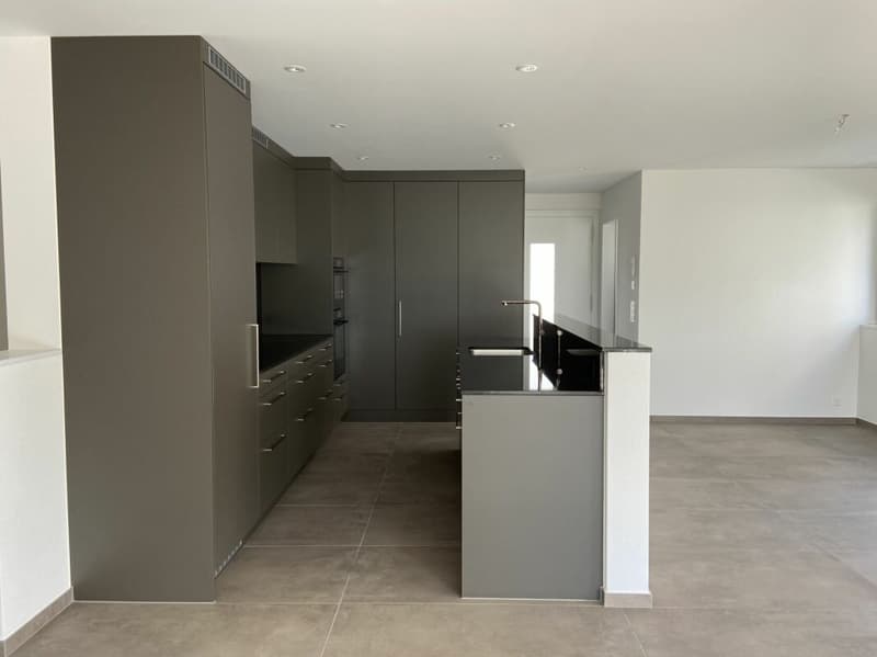 6 1/2-Zimmer-Doppeleinfamilienhaus mit nutzbarer Landfläche (4)