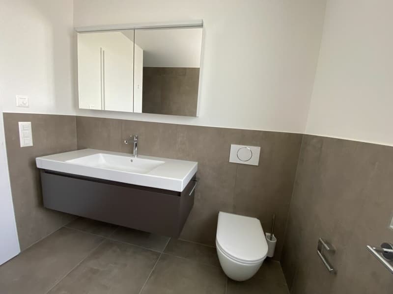 6 1/2-Zimmer-Doppeleinfamilienhaus mit nutzbarer Landfläche (9)
