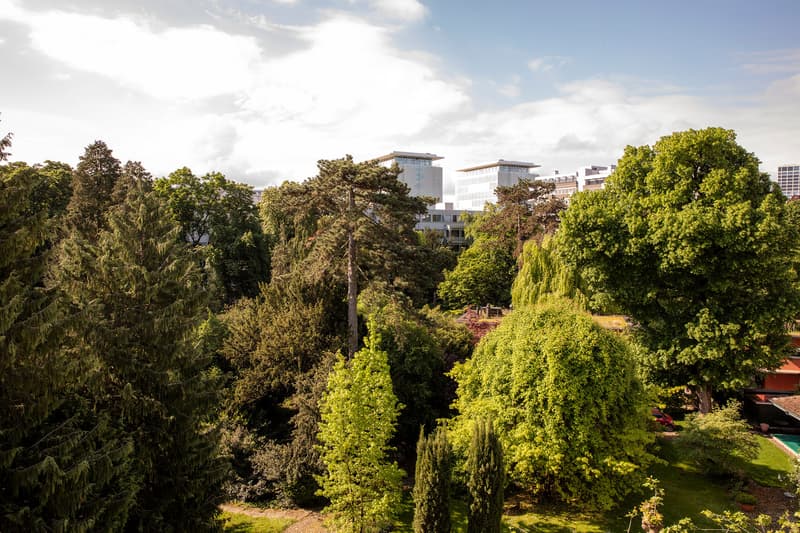 Appartamento mansardato esclusivo nel quartiere di St. Alban-Vorstadt (5)