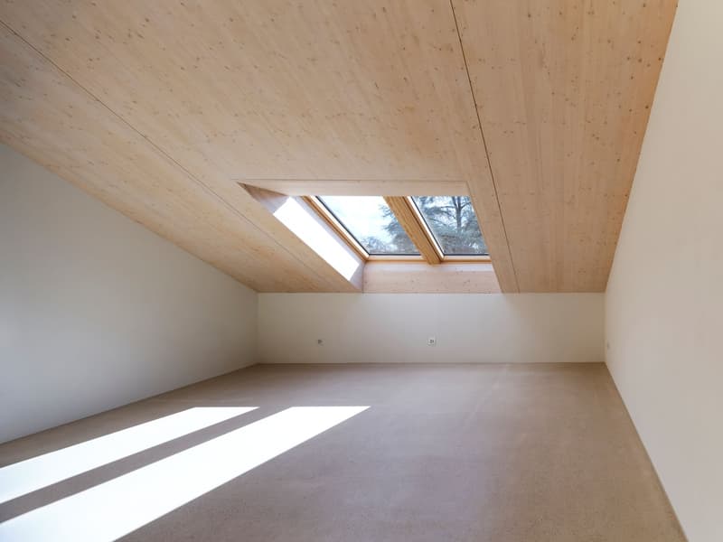 Empty attic room with wooden ceiling and white walls, skylight windows, carpeted floor