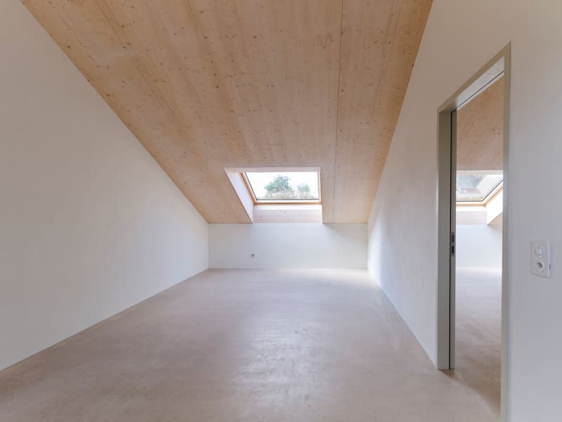 empty room, wooden ceiling, skylight, white walls, concrete floor
