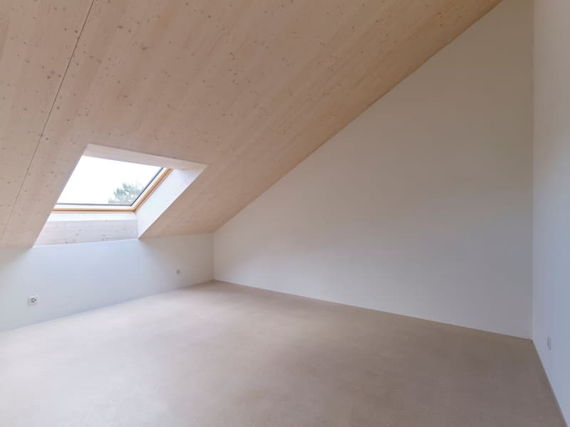 empty room, wooden ceiling, skylight, white walls, beige flooring, electrical outlets