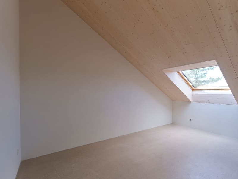 A room with white walls and wooden ceiling, a floor with a beige finish, a wall outlet, and a skylight with a view of trees outside.