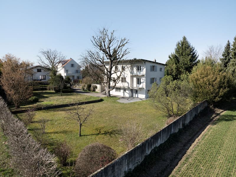 Freistehendes Einfamilienhaus mit Garten auf dem Bruderholz (14)