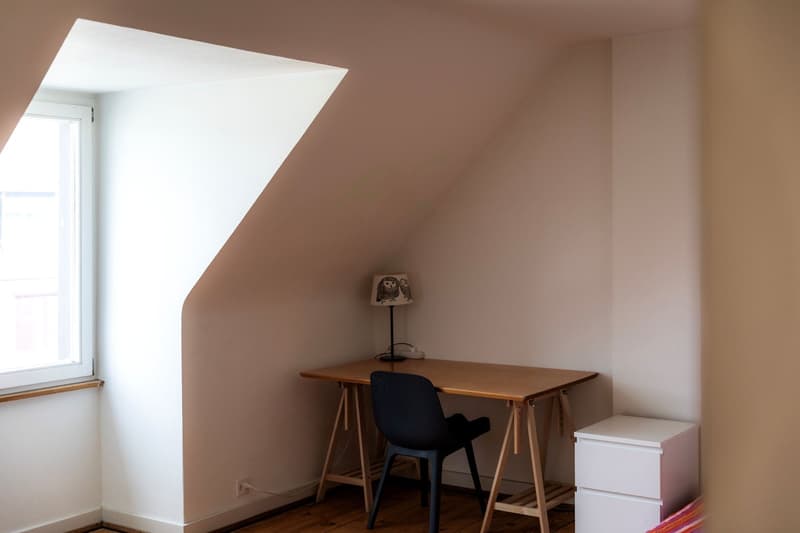 Gepflegtes Einfamilienhaus mit Garten im Basler Neubadquartier (13)