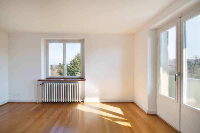Grosszügiges Einfamilienhaus mit viel Grün und Privatsphäre (9)