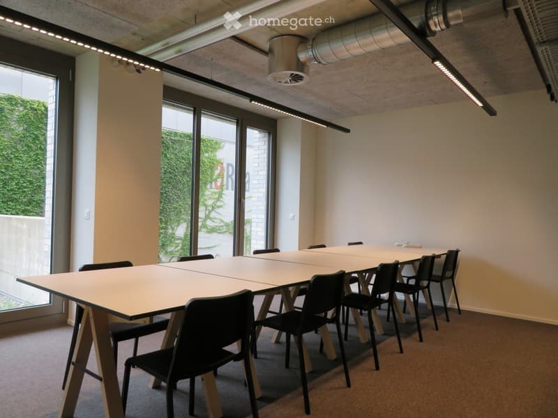 Empty meeting room, long table, white chairs, large windows, white walls, dark brown carpet, ceiling lighting