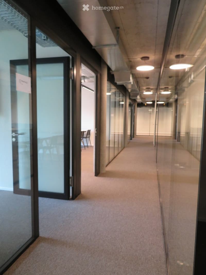 Empty hallway, glass walls, ceiling lights, carpeted floor, an open door.