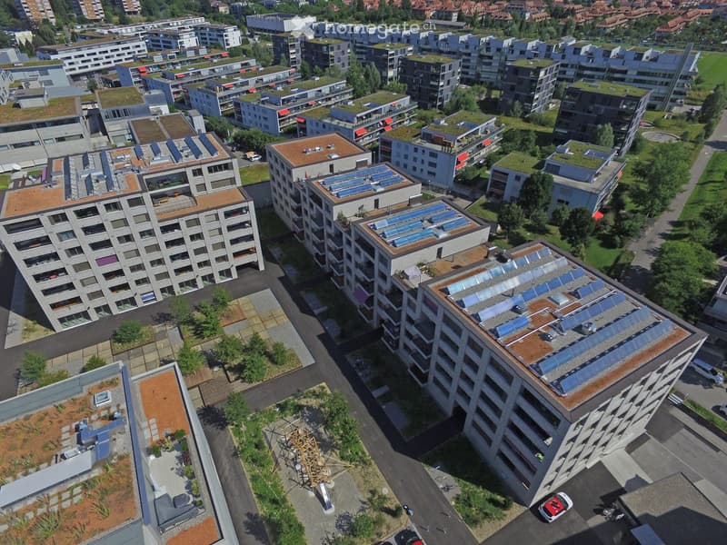 Several residential buildings, multiple solar panels on rooftops, green roofs, balconies, and terraces, large central garden, clear views of surrounding buildings