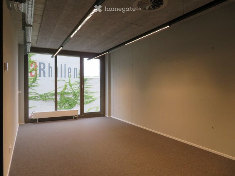 empty room, white walls, carpet floor, large windows, ceiling lights