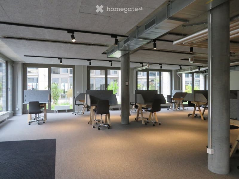modern office design, carpeted floor, adjustable desks, metal columns, large windows
