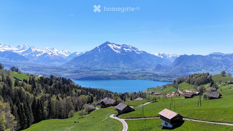 Panorama Bild