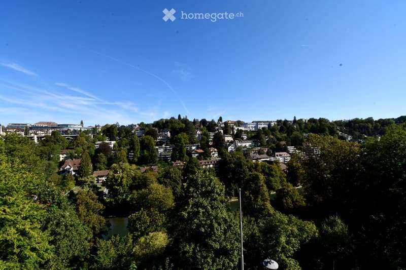 Sonnige 4- Zimmer-Altbauwohnung in der Berner Altstadt (2)
