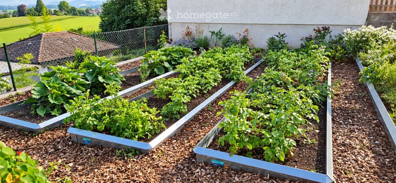 Gartenbeet