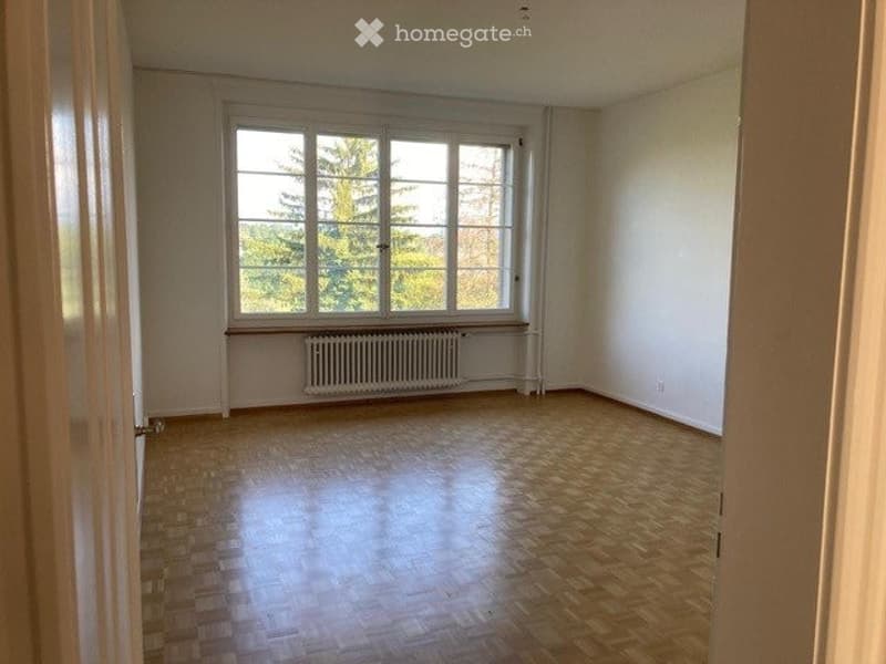 Zimmer II