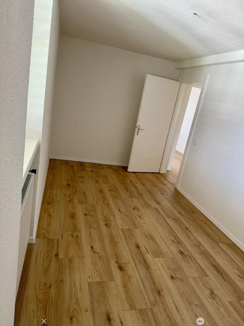 Zimmer1