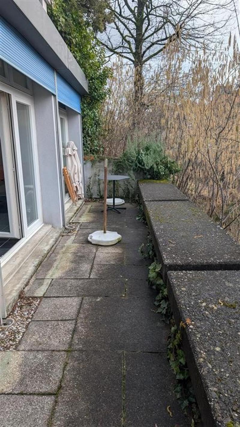 Studio con vista sul Zürichberg a Zurigo in affitto dal 1 luglio 2026 (4)