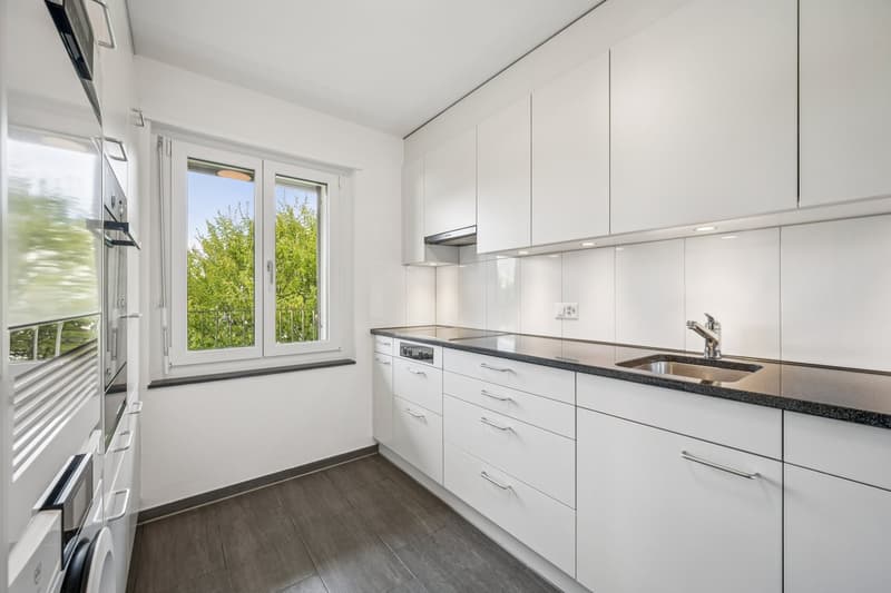 2.5 -Zimmerwohnung mit 94 m² Dachterrasse und Blick ins Grüne (5)